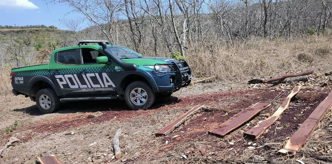 Imagem de compartilhamento para o artigo Polícia Ambiental de Costa Rica multa homem por cortar 80 árvores em Alcinópolis da MS Todo dia
